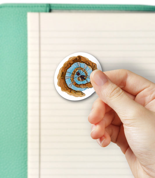 Strange Stuck in Mirror - Spider- Bubble free sticker M15